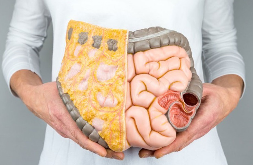 الدهون الداخلية