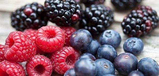 الفرق بين التوت البري والتوت العادى