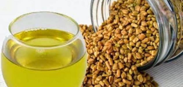 فوائد الحلبة مع زيت الزيتون للتسمين