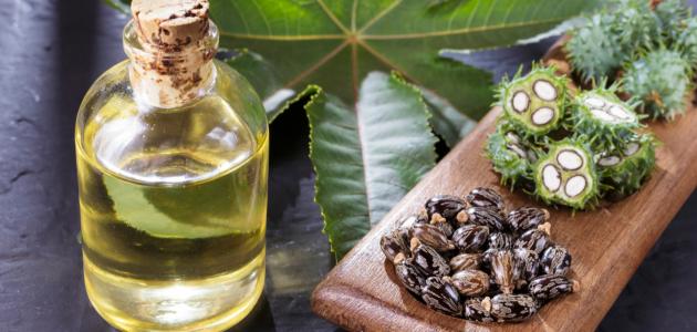 متى يبدأ مفعول زيت الخروع للحامل