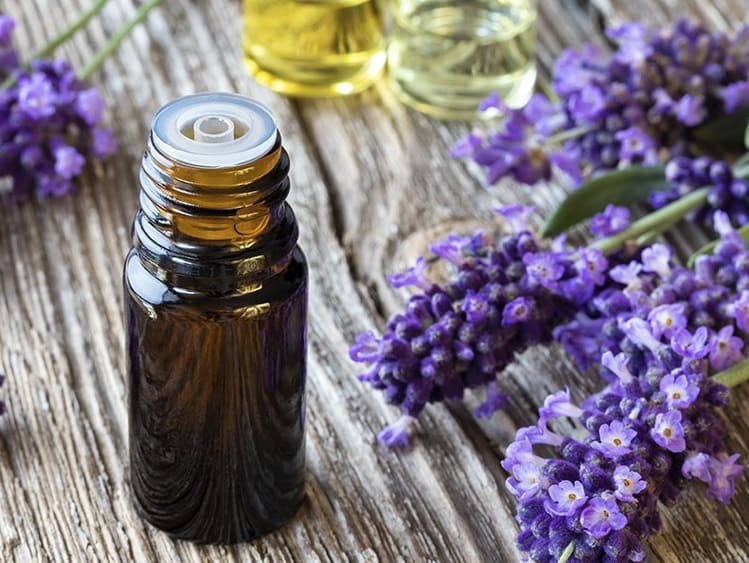 زيت اللافندر للشعر الجاف