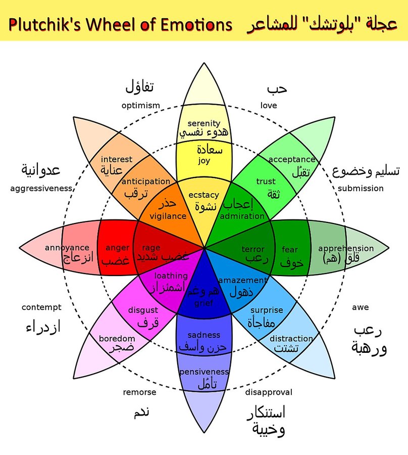 عجلة بلوتشيك للمشاعر
